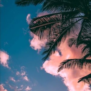 Meet your Posher, Adeline